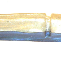 Blue Gray Shad